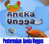 Image of Aneka Unggas